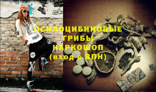 каннабис Белокуриха