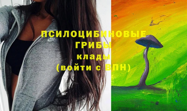 apvp Белоозёрский