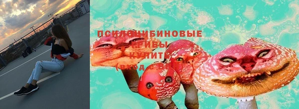 apvp Белоозёрский