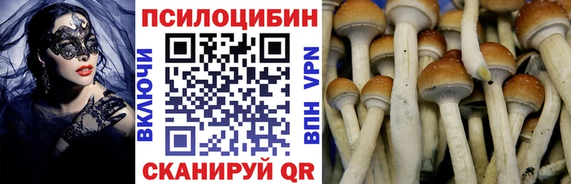 Псилоцибиновые грибы GOLDEN TEACHER  Курчатов 